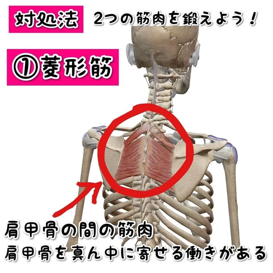 当サロンでは産後の体型の悩みに特化した施術、トレーニング、痩...