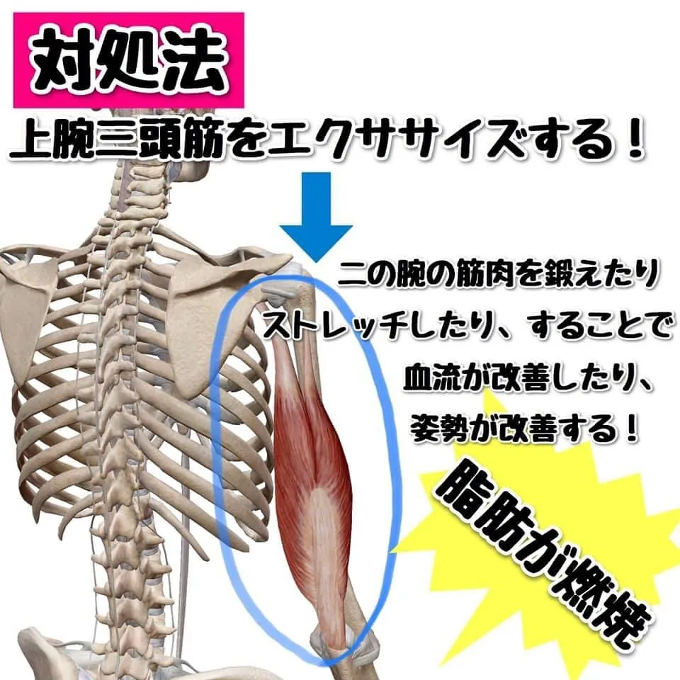 脂肪を落とさずにトレーニングをして筋肉を付けるとその部分が太...