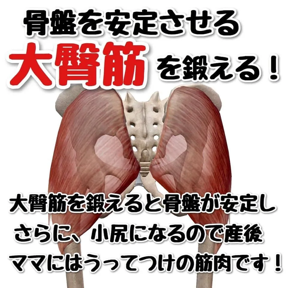 お尻の筋肉を鍛えて体の中心の『核』である骨盤を支える強さを付...