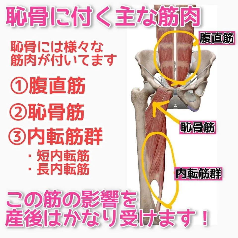 【阪急六甲駅徒歩4分の産後骨盤矯正】